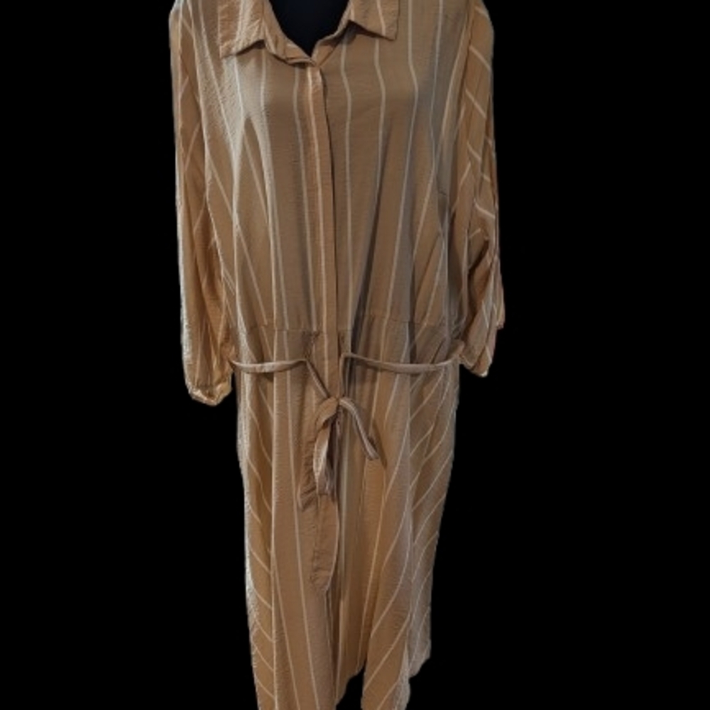 Torrid Beige and White Striped Dress